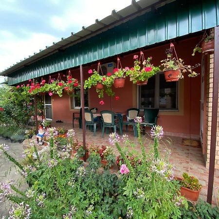 Sud ,,Antal I Olga,, Acomodação com café da manhã Skorenovac Exterior foto
