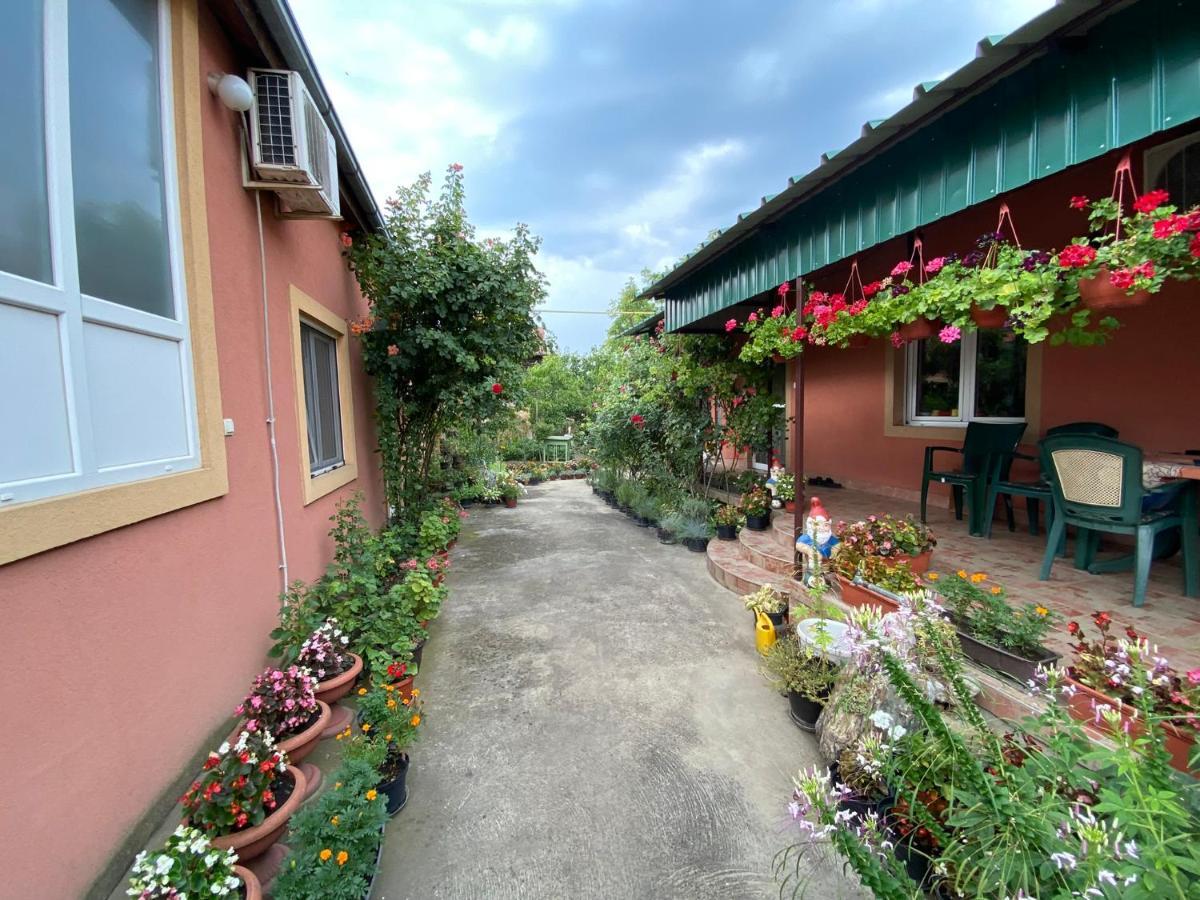 Sud ,,Antal I Olga,, Acomodação com café da manhã Skorenovac Exterior foto