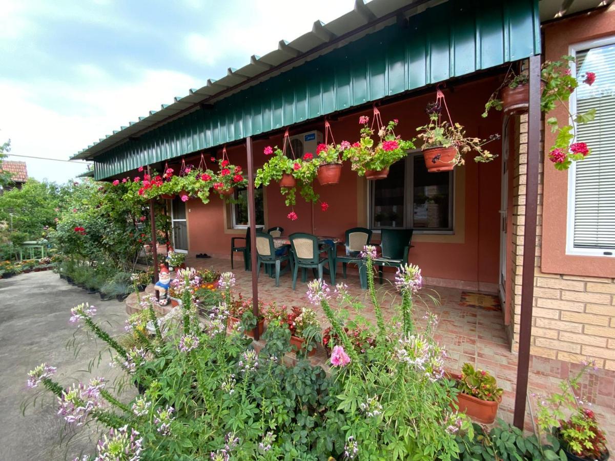Sud ,,Antal I Olga,, Acomodação com café da manhã Skorenovac Exterior foto